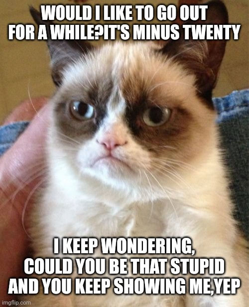 Grumpy Cat | WOULD I LIKE TO GO OUT FOR A WHILE?IT'S MINUS TWENTY; I KEEP WONDERING, COULD YOU BE THAT STUPID AND YOU KEEP SHOWING ME,YEP | image tagged in memes,grumpy cat | made w/ Imgflip meme maker