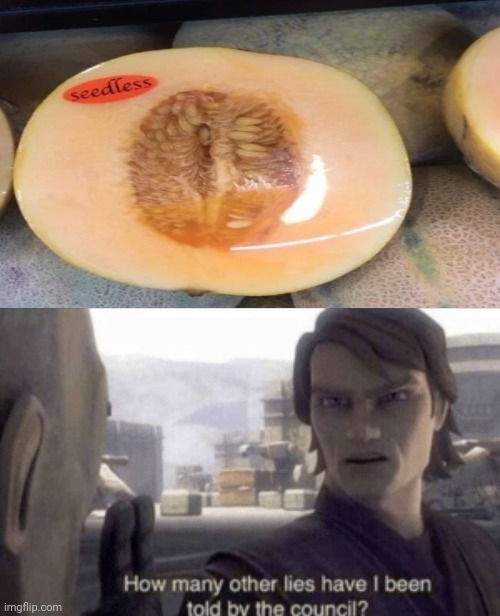 Not seedless | image tagged in how many other lies have i been told by the council,yummy,fruits,you had one job,memes,meme | made w/ Imgflip meme maker
