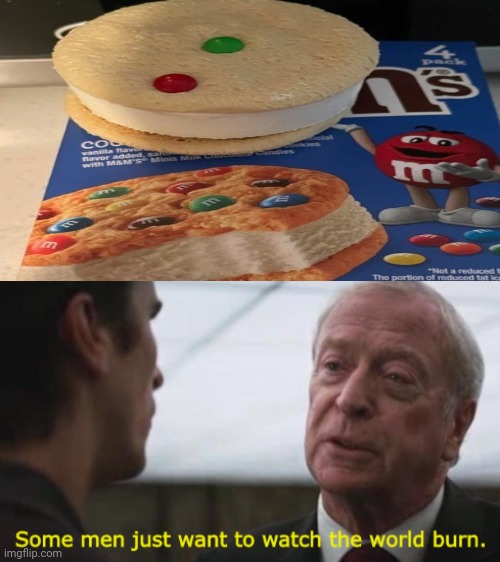Close enough | image tagged in some men just want to watch the world burn,you had one job,cookie,ice cream,memes,meme | made w/ Imgflip meme maker