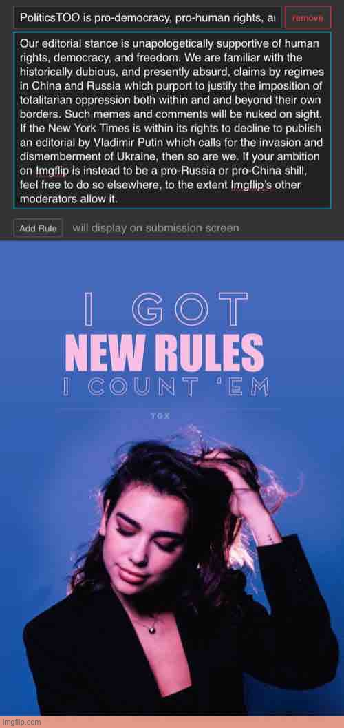 Pro-democracy rule for PoliticsTOO. | image tagged in politicstoo pro-democracy,dua lipa i got new rules | made w/ Imgflip meme maker