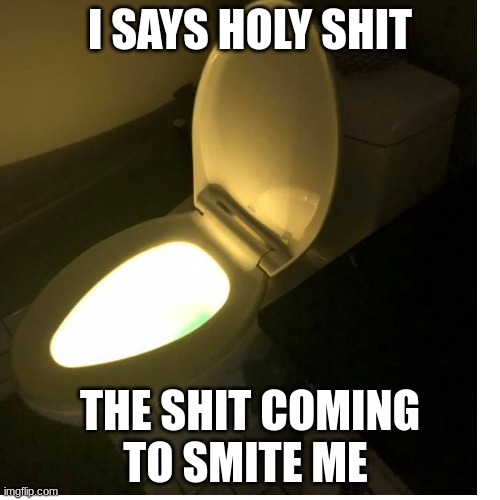 Holy doodoo water | I SAYS HOLY SHIT; THE SHIT COMING TO SMITE ME | image tagged in holy,toilet | made w/ Imgflip meme maker