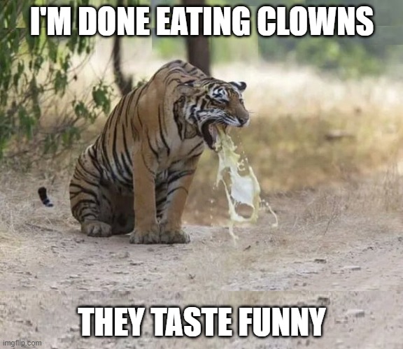 clowns taste funny | I'M DONE EATING CLOWNS; THEY TASTE FUNNY | image tagged in hair ball | made w/ Imgflip meme maker