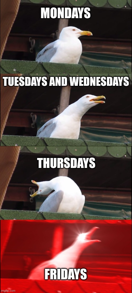 Inhaling Seagull | MONDAYS; TUESDAYS AND WEDNESDAYS; THURSDAYS; FRIDAYS | image tagged in memes,inhaling seagull,weekend | made w/ Imgflip meme maker
