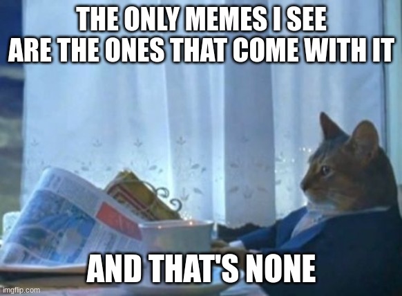The sad life of mr. john cat jiffenburger | THE ONLY MEMES I SEE ARE THE ONES THAT COME WITH IT; AND THAT'S NONE | image tagged in memes,i should buy a boat cat | made w/ Imgflip meme maker