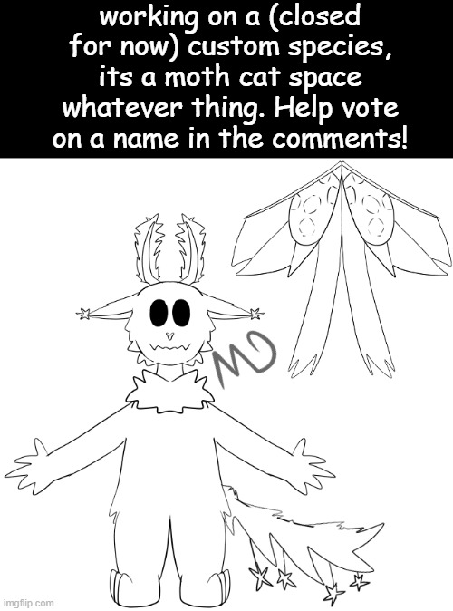 options in the comments! | working on a (closed for now) custom species, its a moth cat space whatever thing. Help vote on a name in the comments! | image tagged in furry,moth,cats,art,drawings,animals | made w/ Imgflip meme maker