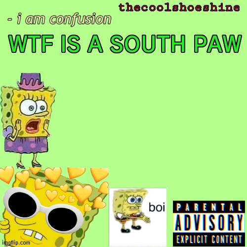 thecoolshoeshine announcement temp |  WTF IS A SOUTH PAW | image tagged in thecoolshoeshine announcement temp | made w/ Imgflip meme maker