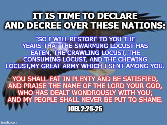 IT IS TIME TO DECLARE AND DECREE OVER THESE NATIONS:; “SO I WILL RESTORE TO YOU THE YEARS THAT THE SWARMING LOCUST HAS EATEN, THE CRAWLING LOCUST, THE CONSUMING LOCUST, AND THE CHEWING LOCUST,MY GREAT ARMY WHICH I SENT AMONG YOU. YOU SHALL EAT IN PLENTY AND BE SATISFIED,
AND PRAISE THE NAME OF THE LORD YOUR GOD,
WHO HAS DEALT WONDROUSLY WITH YOU;
AND MY PEOPLE SHALL NEVER BE PUT TO SHAME. JOEL 2:25-26 | made w/ Imgflip meme maker