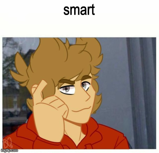 tord smart | smart | image tagged in tord smart | made w/ Imgflip meme maker