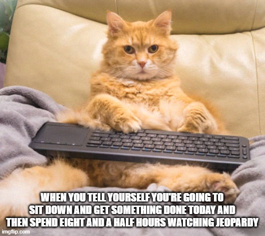 WHEN YOU TELL YOURSELF YOU'RE GOING TO SIT DOWN AND GET SOMETHING DONE TODAY AND THEN SPEND EIGHT AND A HALF HOURS WATCHING JEOPARDY | image tagged in cats,funny,jeopardy | made w/ Imgflip meme maker