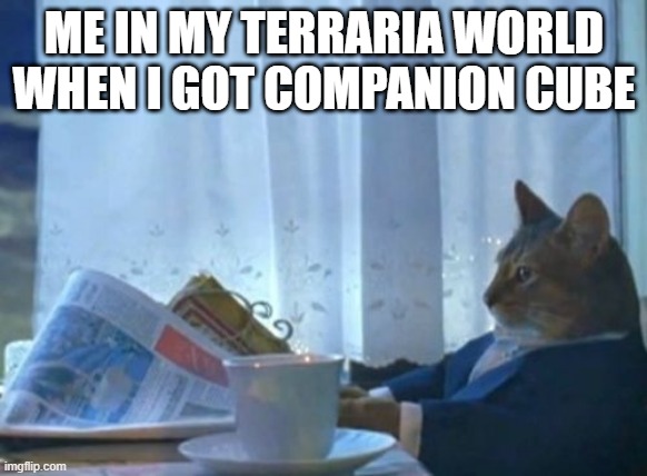 Rich boi | ME IN MY TERRARIA WORLD WHEN I GOT COMPANION CUBE | image tagged in memes,i should buy a boat cat | made w/ Imgflip meme maker
