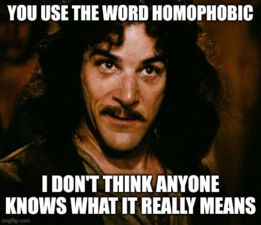 Inigo Montoya Meme | YOU USE THE WORD HOMOPHOBIC I DON'T THINK ANYONE KNOWS WHAT IT REALLY MEANS | image tagged in memes,inigo montoya | made w/ Imgflip meme maker