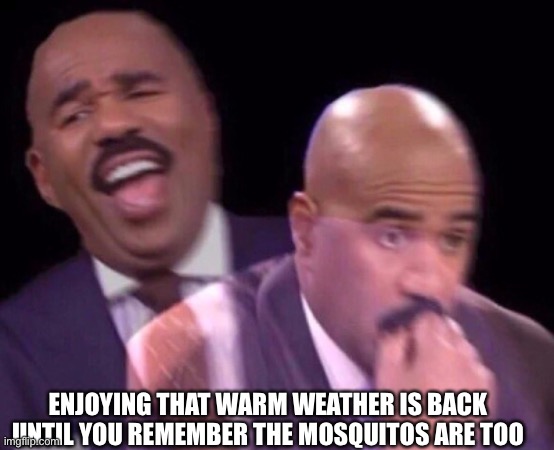 Steve Harvey Laughing Serious | ENJOYING THAT WARM WEATHER IS BACK UNTIL YOU REMEMBER THE MOSQUITOS ARE TOO | image tagged in steve harvey laughing serious | made w/ Imgflip meme maker