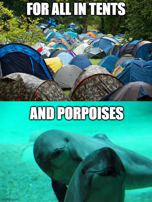 FOR ALL IN TENTS; AND PORPOISES | image tagged in bad grammar and spelling memes | made w/ Imgflip meme maker
