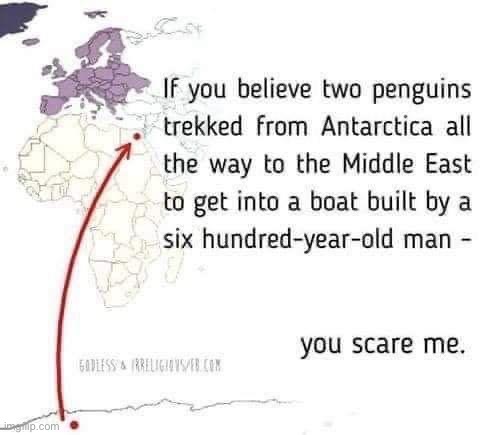 Noah’s Ark penguin | image tagged in noah s ark penguin | made w/ Imgflip meme maker