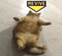 High Quality revive ME Blank Meme Template