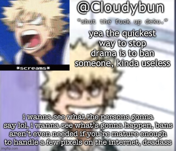 it’s not gonna hurt anyone unless you intervene and overreact | yea the quickest way to stop drama is to ban someone, kinda useless; i wanna see what the persons gonna say lol, i wanna see what’s gonna happen, bans aren’t even needed if you’re mature enough to handle a few pixels on the internet, deadass | image tagged in bakuhoe | made w/ Imgflip meme maker