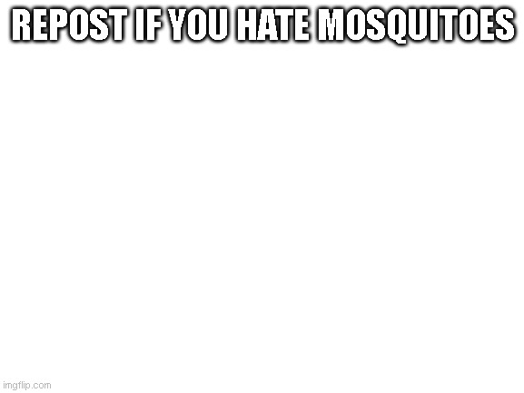 yes | REPOST IF YOU HATE MOSQUITOES | image tagged in blank white template | made w/ Imgflip meme maker