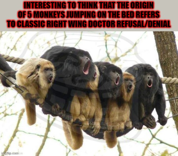 It's not like they actually look it up or anything... | INTERESTING TO THINK THAT THE ORIGIN OF 5 MONKEYS JUMPING ON THE BED REFERS TO CLASSIC RIGHT WING DOCTOR REFUSAL/DENIAL | image tagged in baboon chorus,covid,vaccine,fraud,maga,systemic racism | made w/ Imgflip meme maker