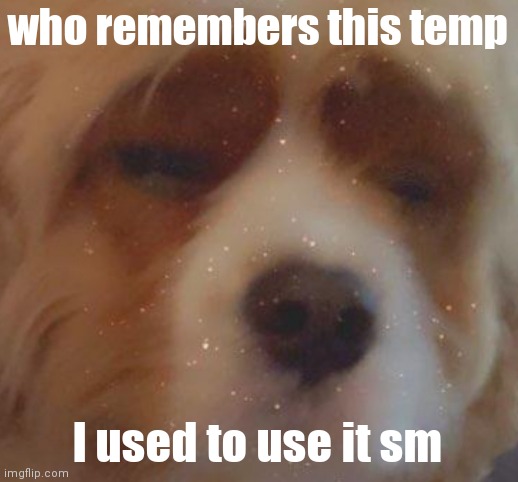 Narwhal doge | who remembers this temp; I used to use it sm | image tagged in narwhal doge | made w/ Imgflip meme maker