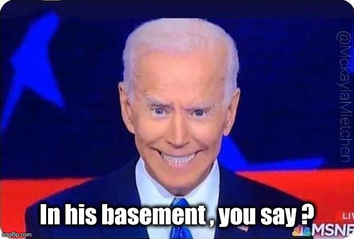 Joe Biden creepy 2 | In his basement , you say ? | image tagged in joe biden creepy 2 | made w/ Imgflip meme maker