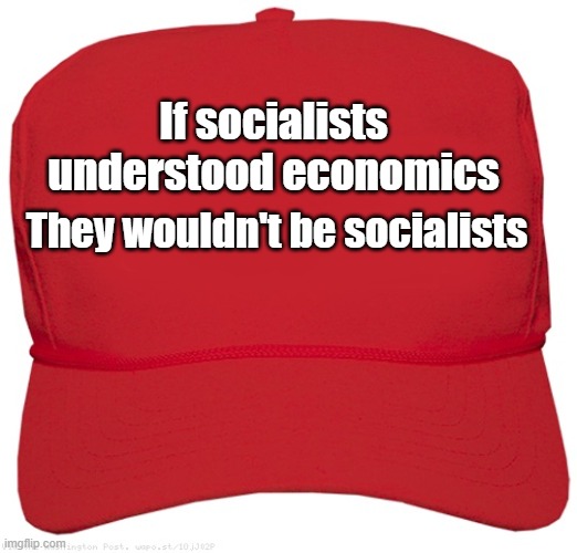 Socialists | If socialists understood economics; They wouldn't be socialists | image tagged in economics,maga,socialists | made w/ Imgflip meme maker