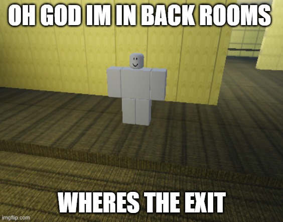 Ragdoll in backrooms | OH GOD IM IN BACK ROOMS; WHERES THE EXIT | image tagged in the backrooms | made w/ Imgflip meme maker