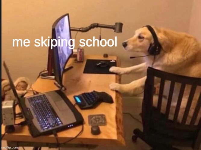 gamer dog | me skiping school | image tagged in gamer dog | made w/ Imgflip meme maker