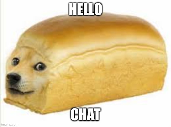 Doge bread | HELLO; CHAT | image tagged in doge bread | made w/ Imgflip meme maker