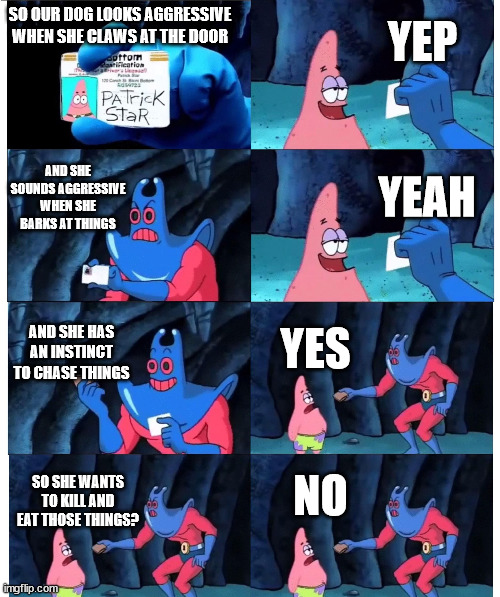 patrick not my wallet | YEP; SO OUR DOG LOOKS AGGRESSIVE WHEN SHE CLAWS AT THE DOOR; AND SHE SOUNDS AGGRESSIVE WHEN SHE BARKS AT THINGS; YEAH; AND SHE HAS AN INSTINCT TO CHASE THINGS; YES; NO; SO SHE WANTS TO KILL AND EAT THOSE THINGS? | image tagged in patrick not my wallet | made w/ Imgflip meme maker