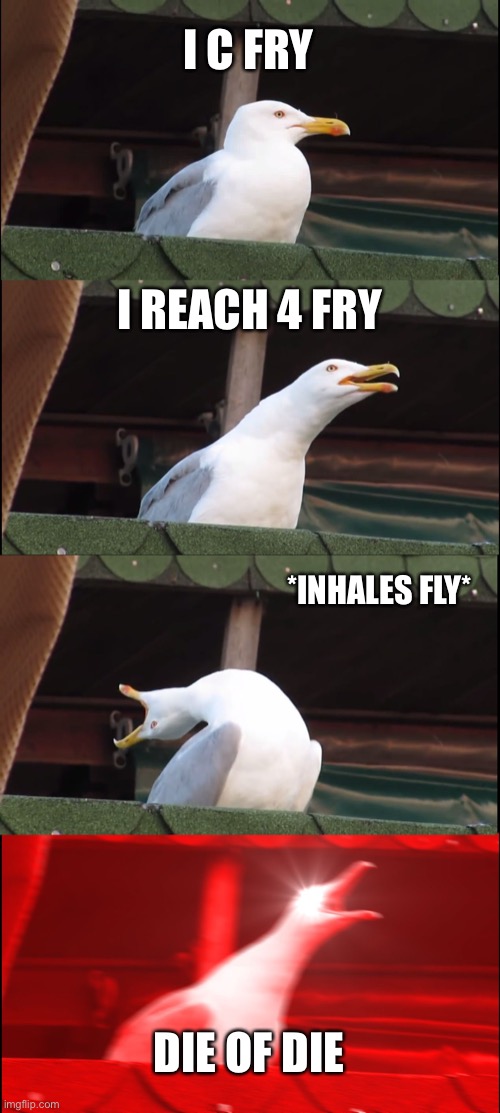 Wen u c fry | I C FRY; I REACH 4 FRY; *INHALES FLY*; DIE OF DIE | image tagged in memes,inhaling seagull | made w/ Imgflip meme maker