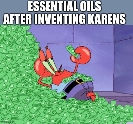 Karens | ESSENTIAL OILS AFTER INVENTING KARENS | image tagged in mr krabs money | made w/ Imgflip meme maker