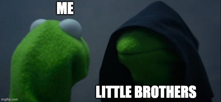 Evil Kermit Meme | ME; LITTLE BROTHERS | image tagged in memes,evil kermit | made w/ Imgflip meme maker