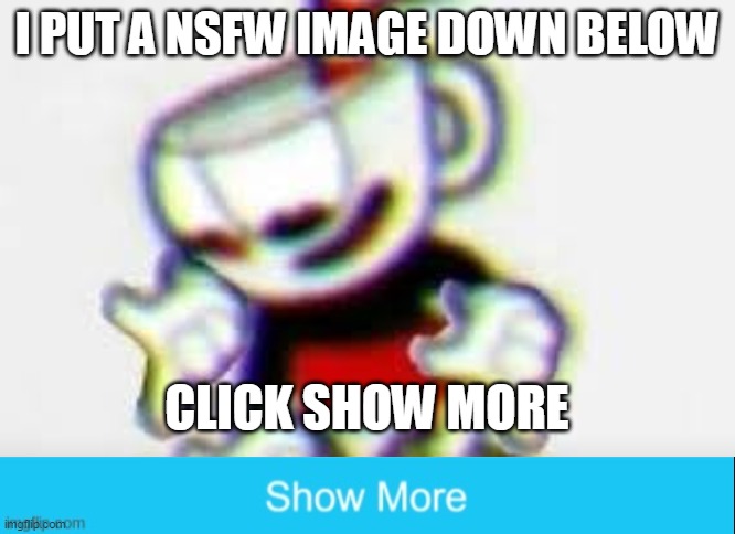 I PUT A NSFW IMAGE DOWN BELOW; CLICK SHOW MORE | image tagged in the person below is,the actual show more button | made w/ Imgflip meme maker