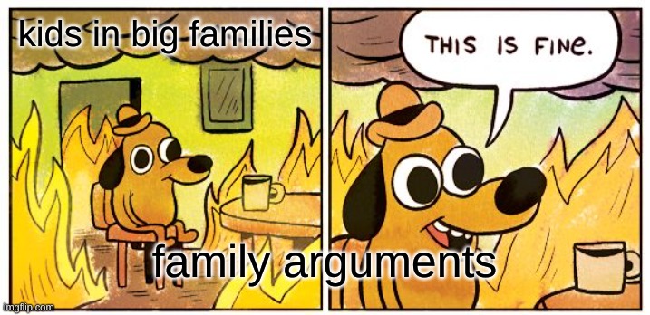 This Is Fine | kids in big families; family arguments | image tagged in memes,this is fine | made w/ Imgflip meme maker