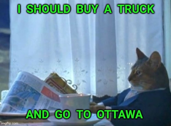 I Should Buy A Boat Cat | I  SHOULD  BUY  A  TRUCK; AND  GO  TO  OTTAWA | image tagged in i should buy a boat cat,trucker,protest,meanwhile in canada,canada | made w/ Imgflip meme maker