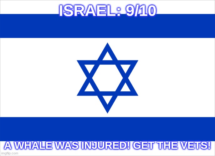 ISRAEL: 9/10; A WHALE WAS INJURED! GET THE VETS! | made w/ Imgflip meme maker