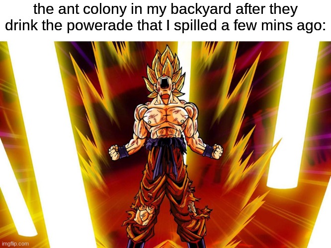 Tip: what have you done | the ant colony in my backyard after they drink the powerade that I spilled a few mins ago: | made w/ Imgflip meme maker