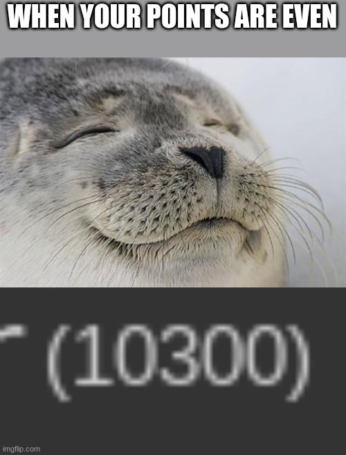 WHEN YOUR POINTS ARE EVEN | image tagged in memes,satisfied seal | made w/ Imgflip meme maker