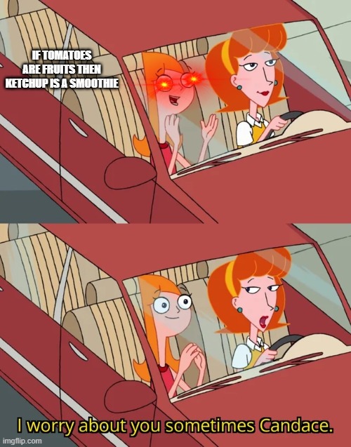 hahahahahhahahaha | IF TOMATOES ARE FRUITS THEN KETCHUP IS A SMOOTHIE | image tagged in i worry about you sometimes candace,phineas and ferb | made w/ Imgflip meme maker
