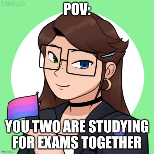 please specify if you want this roleplay to be with powers or no. no erp, no joke oc's, no killing her, and enjoy! | POV:; YOU TWO ARE STUDYING FOR EXAMS TOGETHER | made w/ Imgflip meme maker