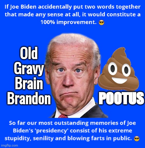 Pootus gravy brain Brandon | Old Gravy Brain Brandon; POOTUS | image tagged in pooping,fool biden | made w/ Imgflip meme maker