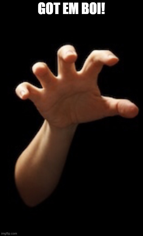 Hand grabbing you | GOT EM BOI! | image tagged in hand grabbing you | made w/ Imgflip meme maker