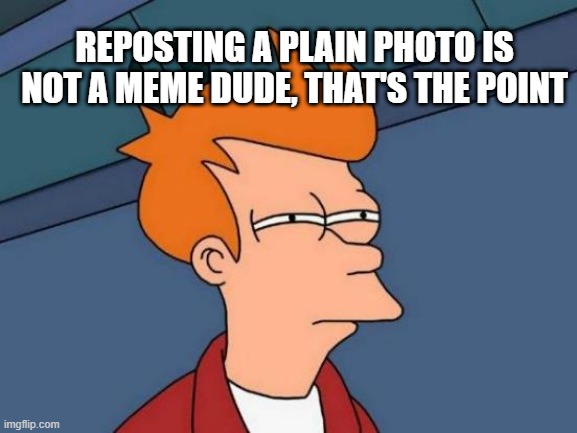 Futurama Fry Meme | REPOSTING A PLAIN PHOTO IS NOT A MEME DUDE, THAT'S THE POINT | image tagged in memes,futurama fry | made w/ Imgflip meme maker