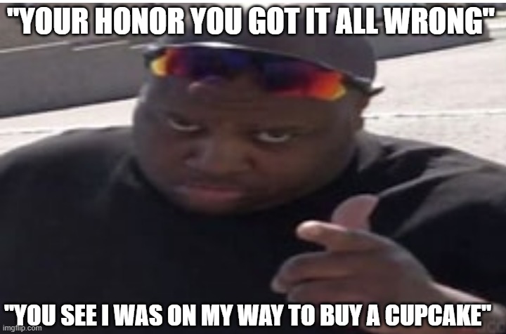 cheese pizza | "YOUR HONOR YOU GOT IT ALL WRONG"; "YOU SEE I WAS ON MY WAY TO BUY A CUPCAKE" | image tagged in no | made w/ Imgflip meme maker