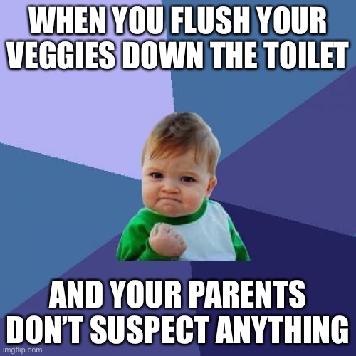 Success Kid Meme | WHEN YOU FLUSH YOUR VEGGIES DOWN THE TOILET; AND YOUR PARENTS DON’T SUSPECT ANYTHING | image tagged in memes,success kid | made w/ Imgflip meme maker
