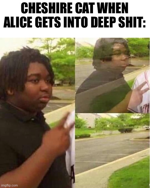 Alice In Wonderland | CHESHIRE CAT WHEN ALICE GETS INTO DEEP SHIT: | image tagged in disappearing,cheshire cat | made w/ Imgflip meme maker