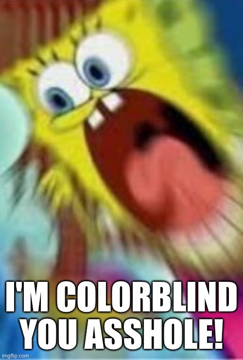 Yelling Spongebob | I'M COLORBLIND YOU ASSHOLE! | image tagged in yelling spongebob | made w/ Imgflip meme maker