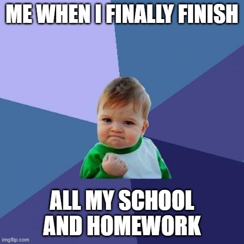 Success Kid | ME WHEN I FINALLY FINISH; ALL MY SCHOOL AND HOMEWORK | image tagged in memes,success kid | made w/ Imgflip meme maker