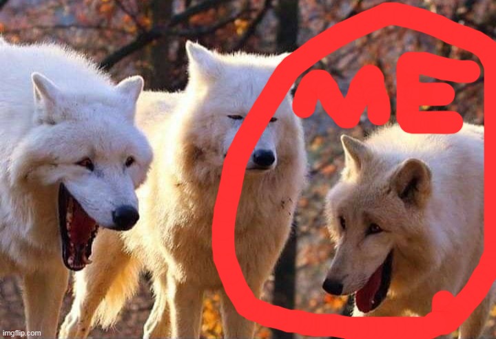 Laughing wolf | image tagged in laughing wolf | made w/ Imgflip meme maker