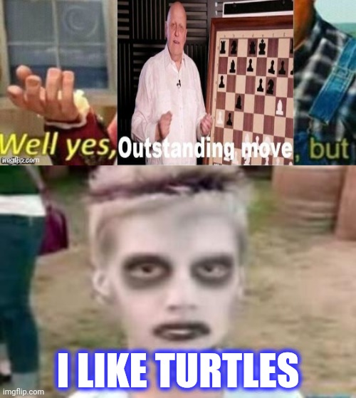 I LIKE TURTLES | image tagged in i like turtles | made w/ Imgflip meme maker
